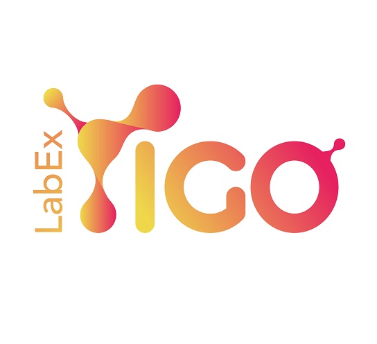 A new visual identity for LabEx IGO